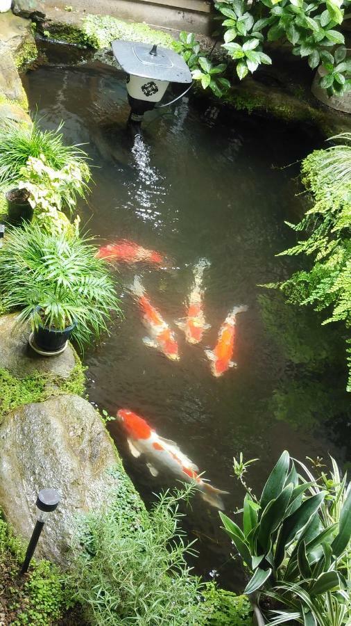 Walking Pilgrimage Hotel Tokiwa Ryokan Ozu  Εξωτερικό φωτογραφία